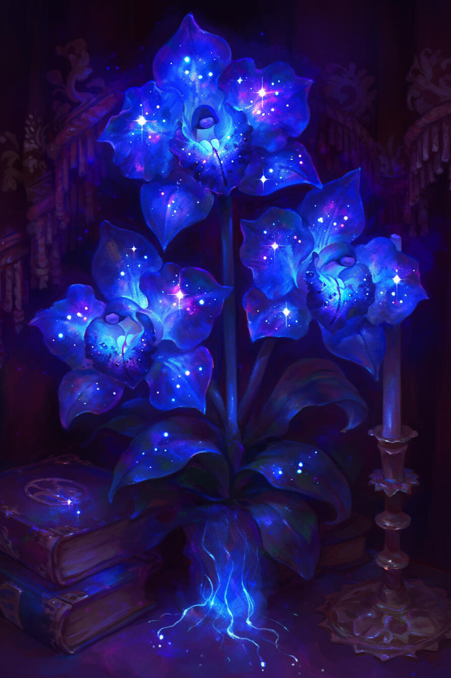 Starlight Orchids